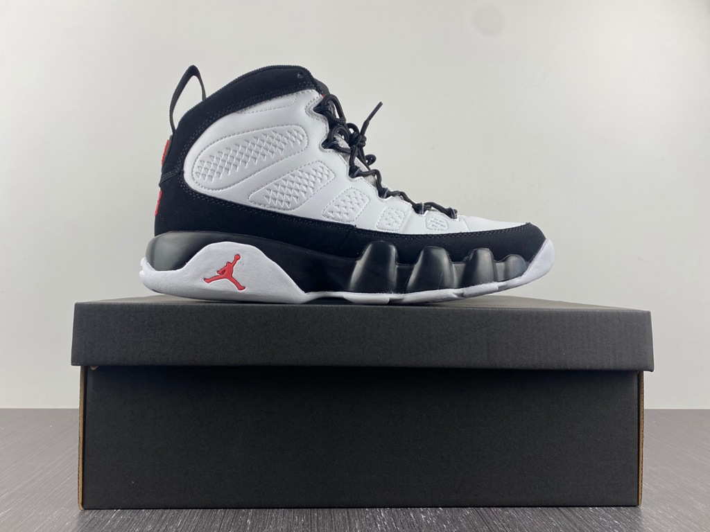 Air Jordan 9 302370-112